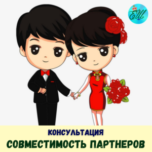Совместимость партнеров